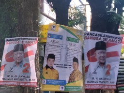 Miris! Masih Banyak APK di Surabaya yang Ditempel di Pohon