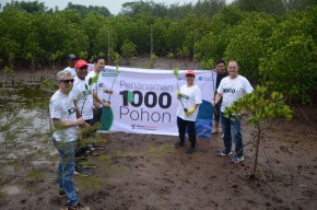 Kurangi Emisi Karbon, Onduline dan Bukalapak Tanam Seribu Pohon di Jawa Timur