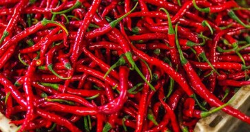 Cabai Rawit Anjlok, Harga Rerata Tembus Rp60.000 per Kg