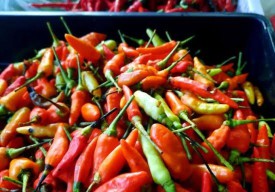 Terus Meroket! Harga Cabai Rawit Tembus Rp100.000 per Kg di Pasar Keputran Surabaya