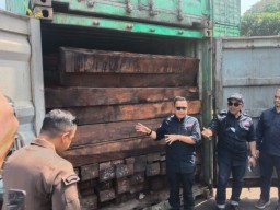 55 Kontainer Kayu Ilegal Diamankan Gakkum KLHK di Teluk Lamong Surabaya