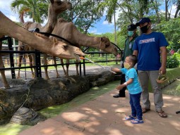 Ini Sederet Hiburan Spesial di KBS Selama Libur Lebaran, Ada Hadiahnya Lho!
