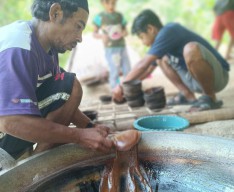 Kemensos Sejahterakan Petani Gula Aren di Sulawesi Tengah