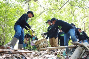 PLN Bersihkan Hutan Mangrove Tanjung Sedati