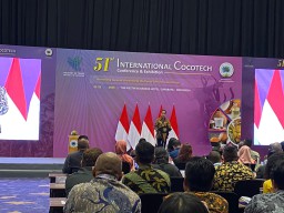 Produksi Kelapa Indonesia Terbesar Kedua Dunia, Jokowi: Potensi Ekonomi Hijau