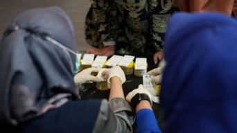 Pelindo Gandeng BNN, Lingkungan Kerja Bebas Narkoba