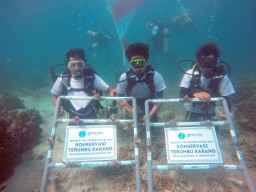 Konservasi Lingkungan, Pelindo Terminal Petikemas Tanam 632 Terumbu Karang