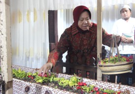 Risma Naik Becak Ziarah ke Makam Ronggalawe dan Sunan Bonang, Warga Antusias