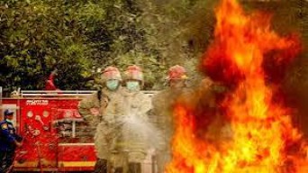 32 Mahasiswa Diamankan Usai Insiden Pembakaran di Kampus Unhas Makassar