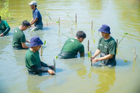 Komitmen Lestarikan Lingkungan, SIER Tanam 5.000 Bibit Mangrove di KRM Surabaya