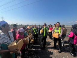 RTH dan Lahan Kosong Ditanami Jagung, SIER: Ikut Dukung Program Ketahanan Pangan Presiden Prabowo