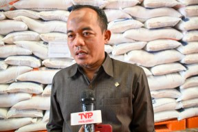 Komisi IV DPR Dorong Penguatan Bulog, Usulkan Kementerian Pangan Tersendiri