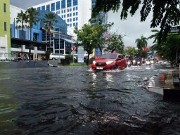 Surabaya Hujan Angin, Sejumlah Titik Tergenang dan Pohon Tumbang