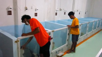 Sunny Pet Hotel: Bisnis Penitipan Anjing Ala Hotel Bintang Lima