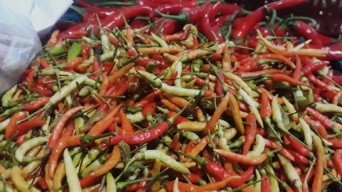 Cabai Rawit Sentuh Rp130.000/kg, Indikasi Permainan Harga?