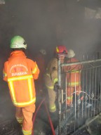 Kebakaran di Gunung Anyar Surabaya, Satu Orang Luka