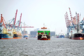 Pelindo Terminal Petikemas Catat Arus Container 2024 Tembus 12,48 Juta TEUs