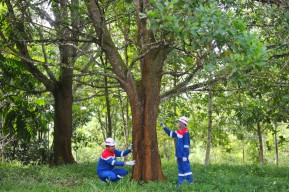 Skor ESG PGN Melesat ke 20,2, Komitmen Kuat Menuju Net Zero Emission