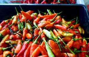 Minim Pasokan, Harga Cabai dan Bawang Melambung Jelang Ramadan 2025