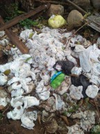 Eri Cahyadi: Sampah Popok di Sungai Bukan dari Warga Surabaya