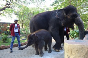 Ini Aturan Pemkot Surabaya Soal Tempat Wisata Selama Libur Lebaran