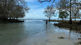 Sungai Serai, Keajaiban Dua Rasa di Ujung Timur Berau