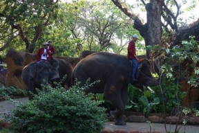 Ada Wahana Baru saat Lebaran, Pengunjung KBS Tembus 72 Ribu