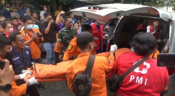 Pria di Surabaya Tewas, Diduga Dimangsa Anjing Peliharaan Sendiri   