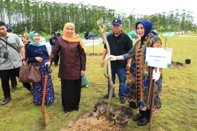 Tanam Pohon Maja di IKN, Khofifah Tegaskan Peran Strategis Jatim