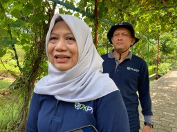 Waspada! Ada Penyakit Tersembunyi Pada Hewan Kurban, Begini Penjelasannya