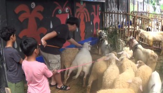 Haru! Dua Bocah SD Surabaya Pecah Celengan Sapi demi Beli Hewan Kurban   