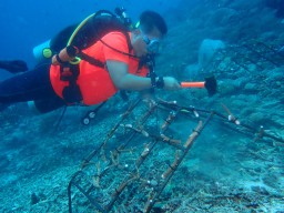 Langkah Kecil dari Dasar Laut, SIER Buktikan Industri Bisa Jadi Penjaga Ekosistem