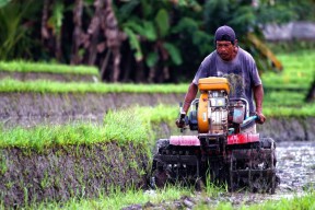 5.000 Hektare Lahan Pertanian Jatim Hilang Tiap Tahun, DPRD Desak Penguatan KP2B
