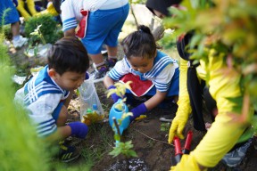Peringati HAN, Pelindo Ajak Siswa Tanam Sayur dan Jaga Kebersihan