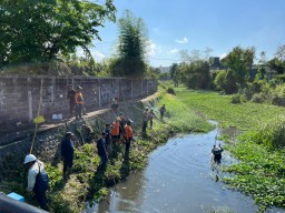SIER, Sampoerna, dan Pemkot Bersihkan Eceng Gondok Sungai Tambak Oso untuk Cegah Banjir
