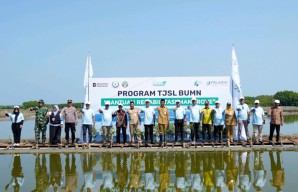 Pelindo Terminal Petikemas Tanam 50.000 Mangrove Dukung Program Jateng