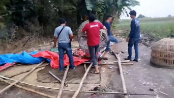 Arena Sabung Ayam di Mojokerto Digerebek, Puluhan Motor dan Ayam Disita