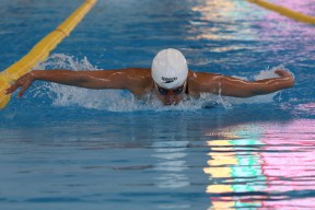 PB AI Pantau Atlet yang Berlatih di Luar Negeri untuk Sea Games 2025