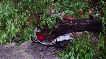 Hujan Es Disertai Angin Kencang di Mojokerto, Rumah Rusak hingga Pohon Timpa Motor dan Mobil