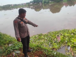 Geger, Mayat Perempuan Tanpa Identitas Mengapung di Sungai Brantas Mojokerto