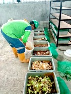 PDS Olah Sampah Organik Jadi Pupuk Maggot di Pelabuhan Benoa