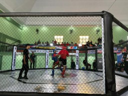 Kejurda Tarung Bebas Indonesia 2025 di Banyuwangi Lahirkan Bibit Atlet Muda