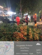 Hujan dan Angin Kencang Terjang Surabaya, 23 Pohon Roboh di Sejumlah Titik