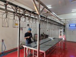 Kapasitas 5.000 Ekor, RPU Jeruk Lakarsantri Baru Layani 100–200 Ekor per Hari