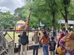 Tiket KBS Berpotensi Naik 2026, Manajemen Ajukan Skema Rp20–25 Ribu