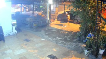 Tiga Pelaku Pencurian 2400 Telur Bebek di Mojokerto Ditangkap