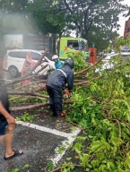 Usai Surabaya Diterjang Hujan Angin Hari Ini, Dilaporkan 18 Pohon Tumbang 