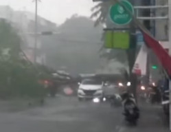 Pohon Tumbang Timpa Mobil Saat Hujan Deras di Sidoarjo