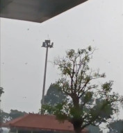 Angin Kencang dan Pohon Tumbang di Bandara Juanda, Tiga Penerbangan Dialihkan