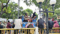 Bawa Sapi ke DPRD, Jagal RPH Pegirian Tolak Relokasi ke TOW